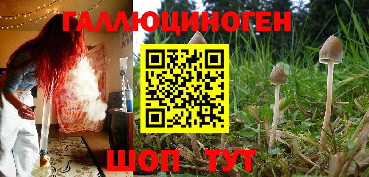 Луховицы  Псилоцибиновые грибы Psilocybine cubensis  Галлюциногенные грибы мухоморы  даркнет сайт  Вход с VPN 